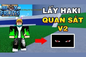 Cách Lấy Haki (Buso/Ken) Blox Fruit 2026